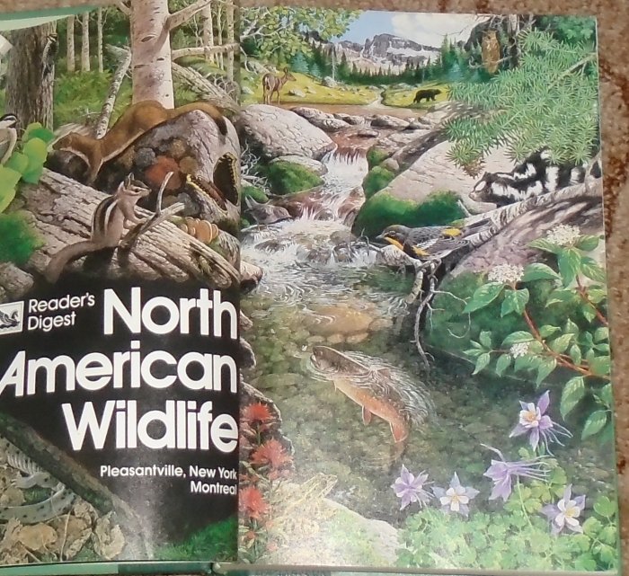 Kniha North American Wildlife - Trh knih - online antikvariát