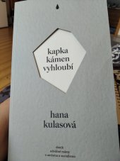 kniha Kapka kámen vyhloubí Deník odvážné mámy o autismu a socialismu, Finidr 2021