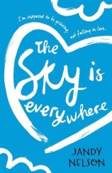 kniha The Sky is Everywhere, Walker Books 2015