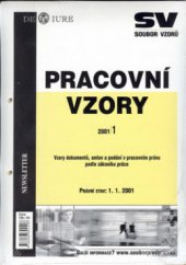 kniha Pracovní vzory 1, - Vzory dokumentů, smluv a podání v pracovním právu podle zákoníku práce - právní stav: 1.1.2001., Newsletter 2001