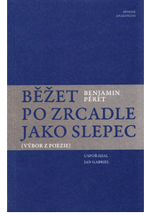 kniha Běžet po zrcadle jako slepec Výbor z poezie , Spolek Analogon 2016