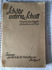 kniha Schätze unterm Schutt   Mesopotamien Aegypten , Verlagsdruckerei Holzinger & Co. 1930