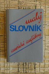 kniha Malý slovník americké angličtiny, Montanex 1992