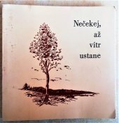 kniha Nečekej až vítr ustane Soubor básní a próz , VŠ SNB v Holešově 1985