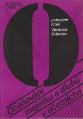 kniha Oceňování majetku a dluhů v účetnictví, Management Press 1993