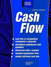 kniha Cash Flow, CPress 2003