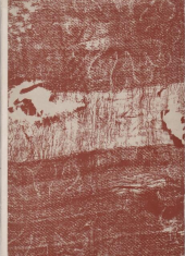 kniha Látky z pražské královské hrobky = Les tissus di vaveau royal à Prague = Die Stoffe aus der Prager Königsgruft, Státní grafická škola 1937