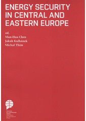 kniha Energy security in Central and Eastern Europe, Association for International Affairs 2008