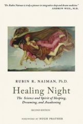 kniha Healing Night The Science and Spirit of Sleeping, Dreaming, and Awakening, Createspace Independent Publishing Platform 2016