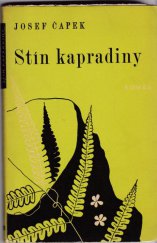 kniha Stín kapradiny [Román], Fr. Borový 1946