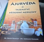 kniha Ajurvéda   tajemství přírodní medicíny, Fontána 2022