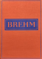 kniha Brehmův Život zvířat Díl 4. - Ssavci - sv. 2 Hlodavci, Ploutvonožci, Josef Hokr 1938