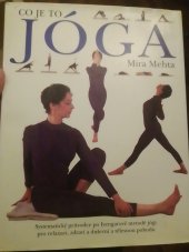 kniha Co je to jóga systematický průvodce po Iyengarově metodě jógy pro relaxaci, zdraví a duševní a tělesnou pohodu, Svojtka a Vašut 1996