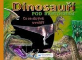 kniha Dinosauři pod rentgenem co se skrývá uvnitř?, Svojtka & Co. 2010