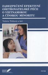 kniha Zabezpečení efektivní ošetřovatelské péče o vietnamskou a čínskou minoritu, Triton 2010