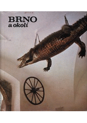 kniha Brno a okolí [Fot. publ., Pressfoto 1977