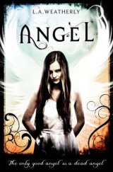 kniha Angel, Usborne Publishing 2010