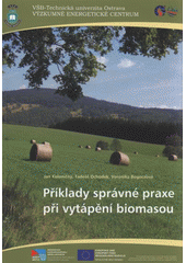 kniha Příklady správné praxe při vytápění biomasou, Vysoká škola báňská - Technická univerzita Ostrava 2009