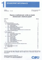 kniha Úspory a zadluženost: ocitly se české domácnosti v dluhové pasti?, Český statistický úřad 2008