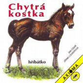 kniha Chytrá kostka, Axióma 2002