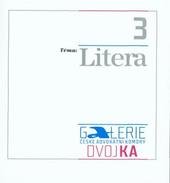 kniha Téma 3: Litera [Petr Kubín, Karel Aubrecht] : Galerie České advokátní komory Dvojka, Sdružení Bienále Brno 2010