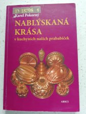 kniha Nablýskaná krása v kuchyních našich prababiček, ARSCI 2009