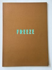 kniha FREEZE The original catalogue for Freeze. The Damien Hirst curated show exhibited in the summer of 1988, Y.B.A (Young British Artist)  1988