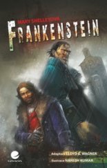 kniha Frankenstein, Grada 2010