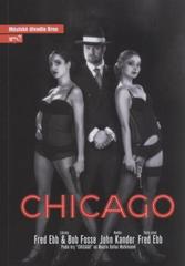 kniha Fred Ebb, Bob Fosse, John Kander - Chicago osmá inscenace šedesáté šesté sezony 2010/2011 : premiéra 25. března 2011 na Hudební scéně, Městské divadlo 2011