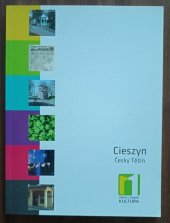 kniha Cieszyn - Český Těšín Město/Miasto - Kultura, COK 2006