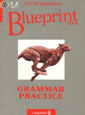 kniha Blueprint one Grammar Practice, Longman Group UK Limited 1995