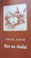 kniha Kos na studni Poznámky z našeho času, Peter Goldberg - production 2002