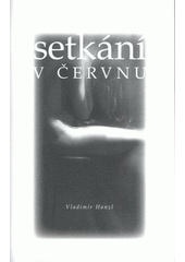 kniha Setkání v červnu, R. Otoman 2008