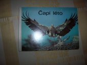 kniha Čapí léto leporelo, Postreiter 1979