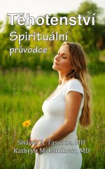 kniha Těhotenství Spirituální průvodce, Baronet 2014