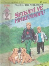 kniha Setkání ve Finkenhofu, Ivo Železný 1993