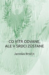 kniha Co vítr odvane, ale v srdci zůstane, Epocha 2017