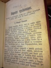 kniha Slepcův vychovanec povídka ze skutečného života pro české rodiny, Dědictví maličkých 1888