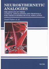 kniha Neurokybernetic analogies the results of their clinical applications and proposals for their further mutual simulation, Triton 2008