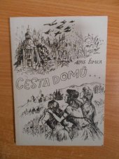 kniha Cesta domů (Román protektorátní generace), Domov a svět 1990