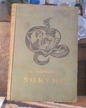 kniha Sokyně Společenský román, Antonín Svěcený 1925