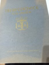 kniha Třebechovice pod Orebem Výstavba a národní hospodářství evropských měst. Československá republika, Městská rada v Třebechovicích pod Orebem 1938