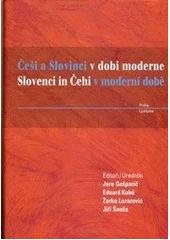 kniha Češi a Slovinci v moderní době politika - společnost - hospodářství - kultura, Nová tiskárna Pelhřimov 2010