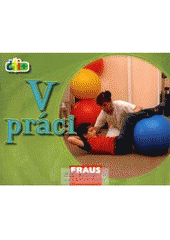 kniha V práci, Fraus 2008