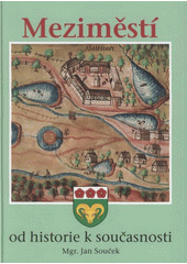 kniha Meziměstí = Halbstadt = Halbestadt = Halbstat = Nieder Wiesen : od historie k současnosti, Město Meziměstí 2008