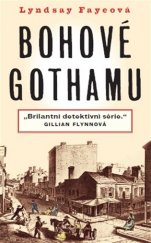 kniha Bohové Gothamu, Paseka 2014