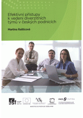 kniha Efektivní přístupy k vedení diverzitních týmů v českých podnicích, Akademické nakladatelství CERM 2012