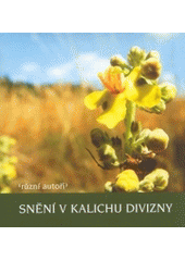 kniha Snění v kalichu divizny, Sursum 2004