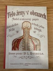 kniha Tělo ženy v obrazech Model a názorný popis ženského těla a všech jeho ústrojů, Šolc a Šimáček 1923