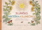 kniha Sluníčko, maceška a slunečnice Pro předškolní věk, SNDK 1956